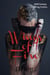 Wings of Fire: MM Fantasy MPreg Erotica