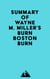 Summary of Wayne M. Miller's Burn Boston Burn