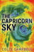The Capricorn Sky