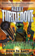 Colonisation: Down to Earth - Colonisation: Book 2