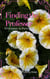 Finding the Professor in Paris - Finding the Professor, #4