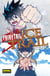 Fairy Tail Ice Trail