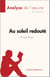 Au soleil redouté de Michel Bussi (Analyse de l'œuvre) - Résumé complet et analyse détaillée de l'oeuvre
