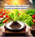 De la Semilla al Plato: Guía Completa para el Cultivo de Verduras Orgánicas - Ebooks, #1