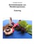 Arbeitsbuch Küche Anrichtebeispiele von Menükomponenten - Band 2 Catering mit HaReKa
