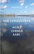The Consultant - Agile versus Safe
