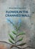 Flower in the Crannied Wall