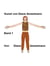 Kunst von Diane Amselmann - Band 1