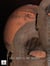Les Dieux de Mars - II - Cycle John Carter