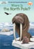 Where Is the North Pole?