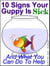 10 Signs Your Guppy Is Sick (And What You Can Do To Help)