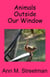 Animals Outside Our Window