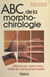 ABC de la morphochirologie - Découvrez votre main, reflet de votre personnalité