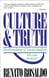 Culture & Truth - The Remaking of Social Analysis