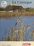 La Camargue