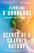 Scenes of a Graphic Nature - 'A perfect page-turner' (Dolly Alderton) from the bestselling author of The Rachel Incident