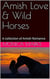 Amish Love & Wild Horses