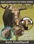 Moose Photos and Fun Facts for Kids - Kids Learn With Pictures, #58