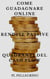 Come guadagnare online con le rendite passive e i quadranti del cash flow - business online