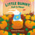 Little Bunny, Fall Is Here!