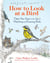 How to Look at a Bird - Open Your Eyes to the Joy of Watching and Knowing Birds