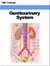 Genitourinary System (Human Body) - Human Body