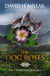 The Dog Roses: Na Feirdhriseacha
