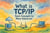 What is TCP/IP: Basic Concepts to More Advanced.