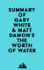 Summary of Gary White & Matt Damon's The Worth of Water