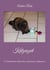 Katzenzeit - Ein Adventskalender mit Geschichten und Gedichten für Katzenfreunde