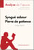 Syngué Sabour. Pierre de patience d'Atiq Rahimi (Analyse de l'oeuvre) - Analyse complète et résumé détaillé de l'oeuvre