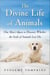 The Divine Life of Animals - One Man's Quest to Discover Whether the Souls of Animals Live On
