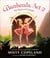 Bunheads, Act 2 - The Dance of Courage