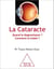 La Cataracte - Quand la diagnostiquer? Comment la traiter?
