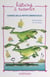 Contes de la petite grenouille