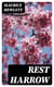 Rest Harrow - A Comedy of Resolution