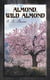 Almond, Wild Almond - Historical Romance Novel