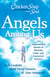 Chicken Soup for the Soul: Angels Among Us - 101 Inspirational Stories of Miracles, Faith, and Answered Prayers