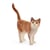 Figurine Chat - Farm world