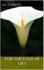 For the Love of Lily