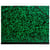 CARTON DESSIN 28X38CM VERT EXA