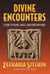 Divine Encounters - A Guide to Visions, Angels, and Other Emissaries