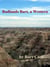 Badlands Bart, a Western