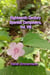Eighteenth Century Spanish Composers, Vol. VIII