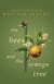 Bee and the Orange Tree