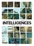 Intelligences