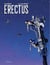 Erectus