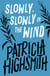 Slowly, Slowly in the Wind - A Virago Modern Classic
