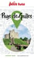 Guide Pays De Galles 2024/2025 Petit Futé