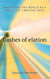 Flashes of Elation: Navigating the World as a Sensitive, Creative Soul